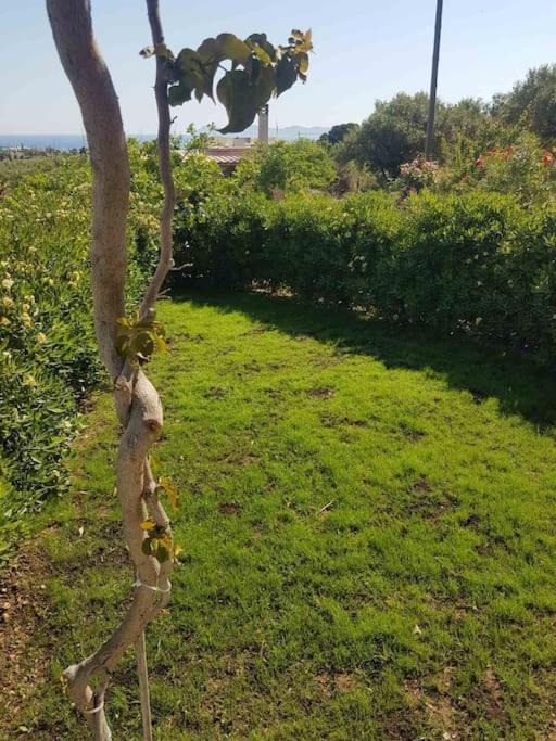 Amalthia Villa Sitia  Exterior photo
